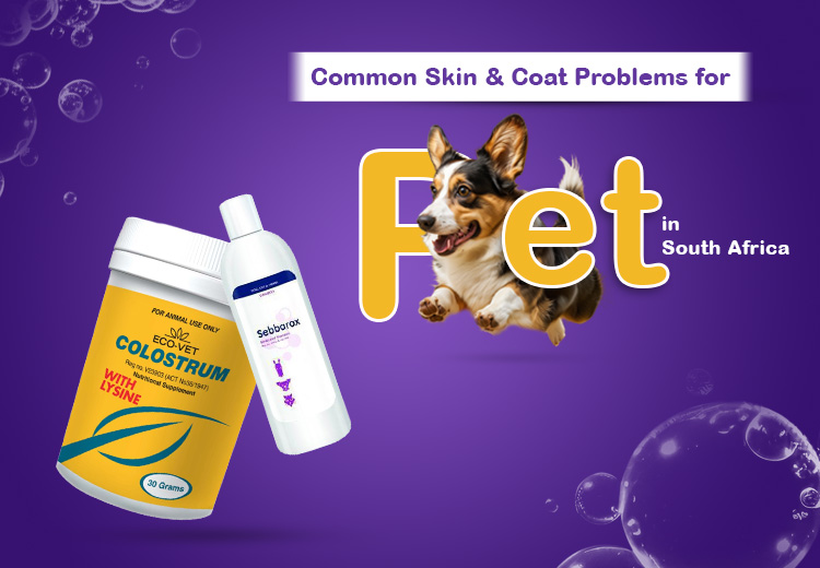 Christmas Day-Hilarious Tweets Which Define The Occasion